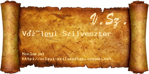 Völgyi Szilveszter névjegykártya