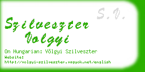 szilveszter volgyi business card