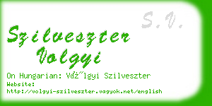 szilveszter volgyi business card